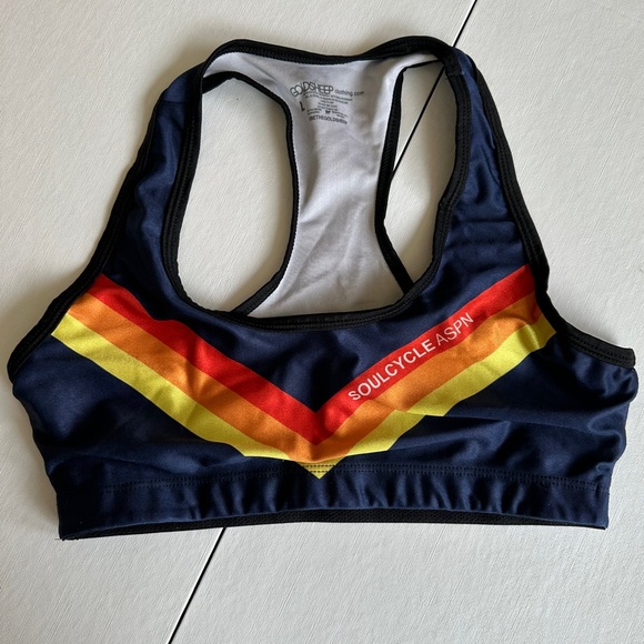 Soulcycle ASPN Goldsheep Sports Bra with Stripe Design Size L - Picture 1 of 3